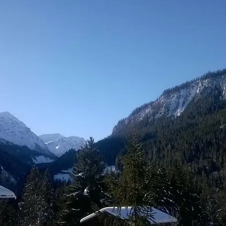 Muellershus Langwies