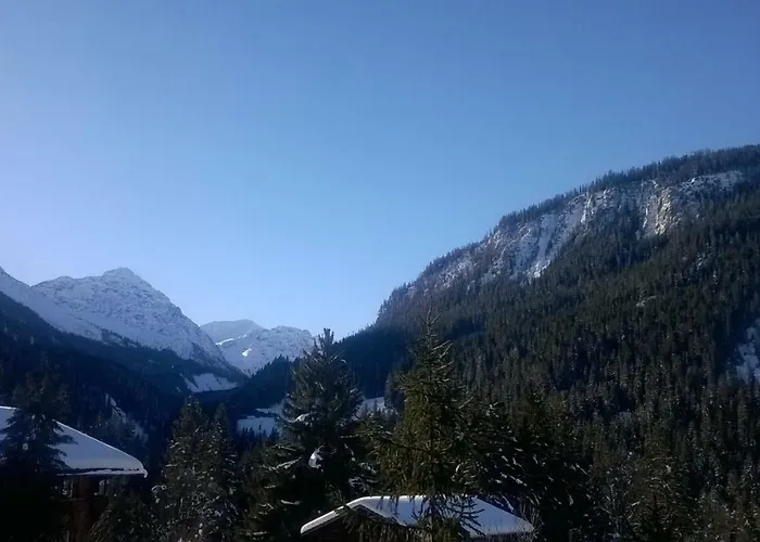 Muellershus Langwies